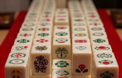 AI generated image by FLUX.1-image-to-image: this image is playing mahjong